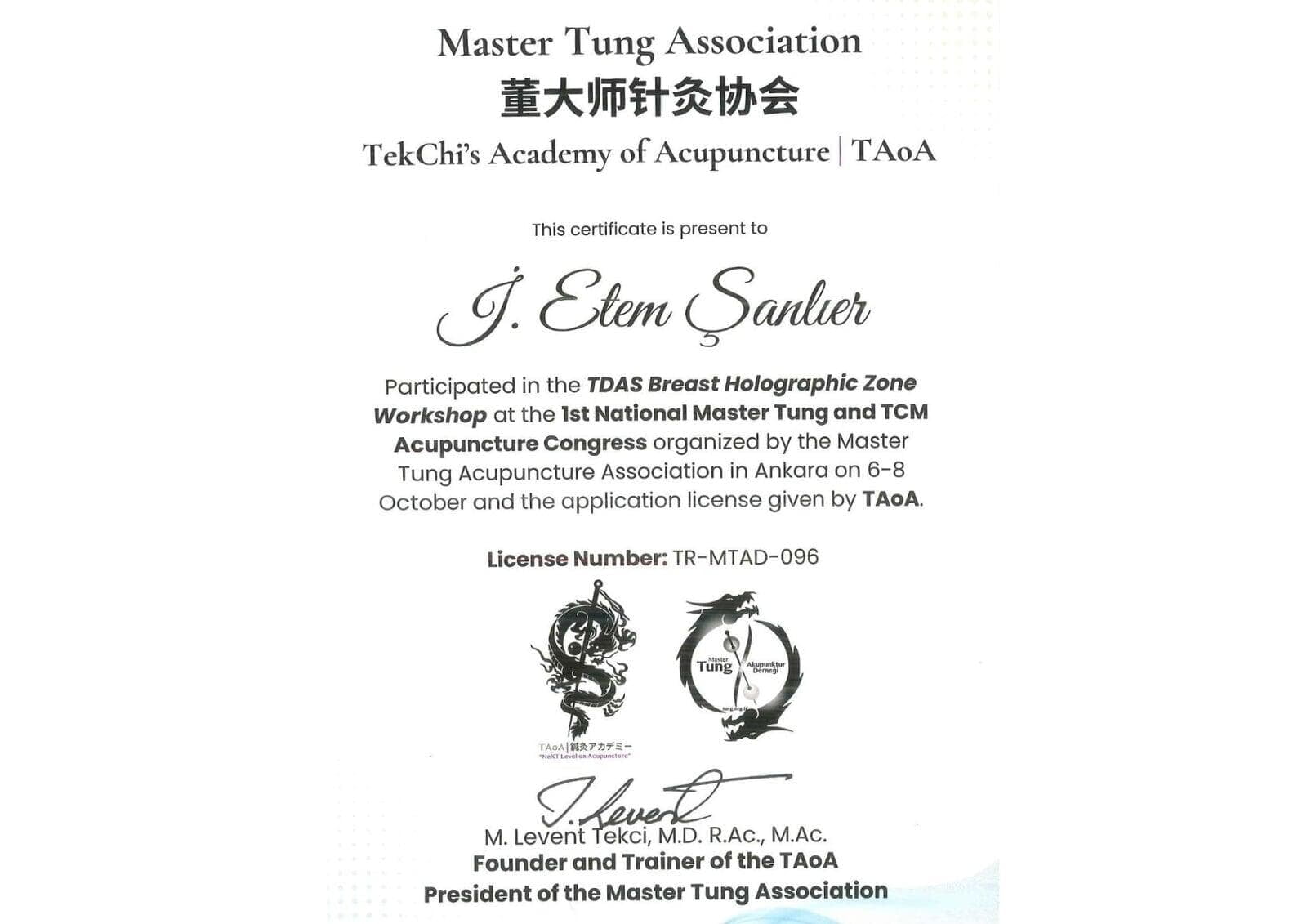 Master Tung Association TekChi's Academy of Acupuncture TAoA Work Shop Katılım Belgesi