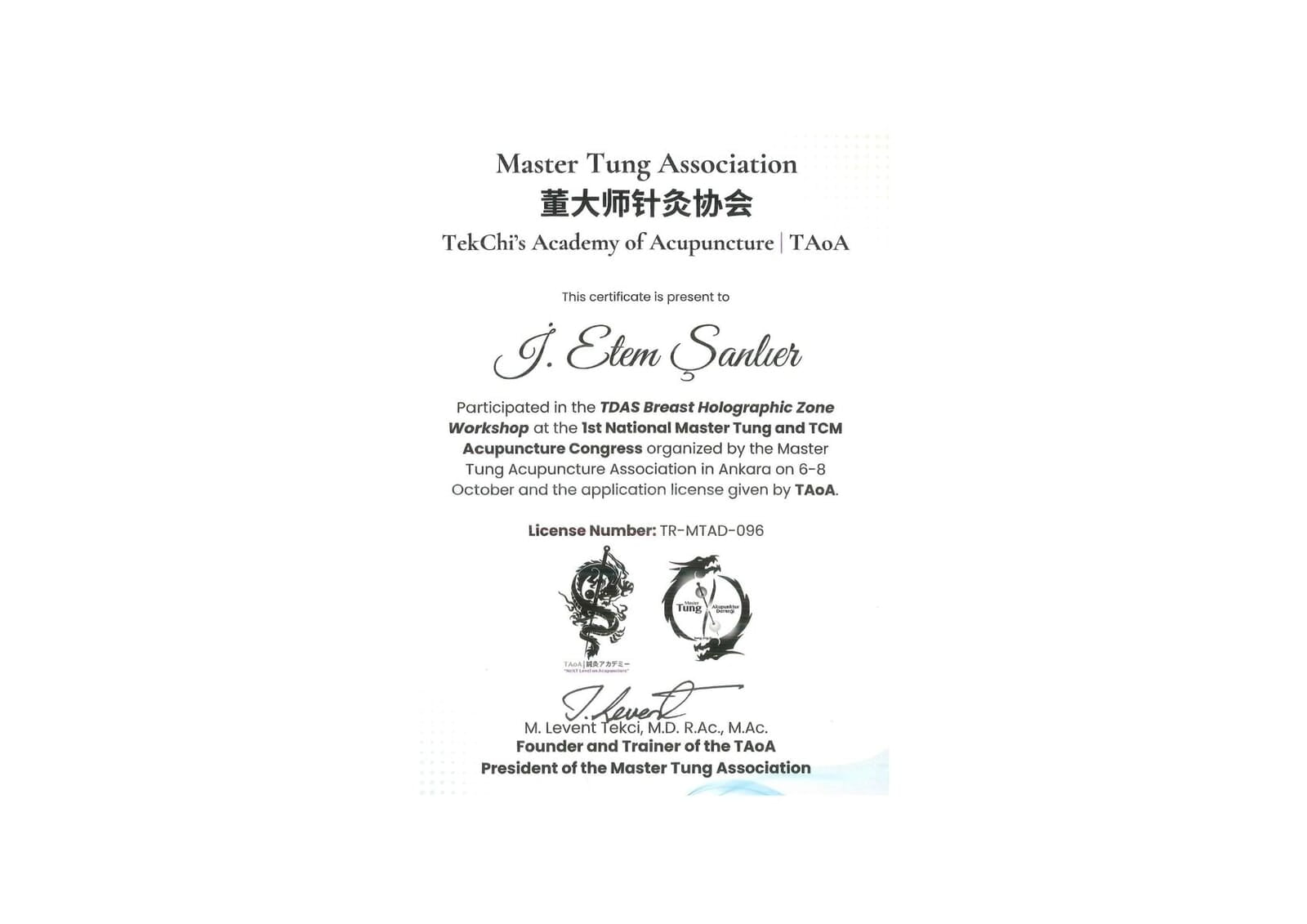 Master Tung Association TekChi's Academy of Acupuncture TAoA Work Shop Katılım Belgesi