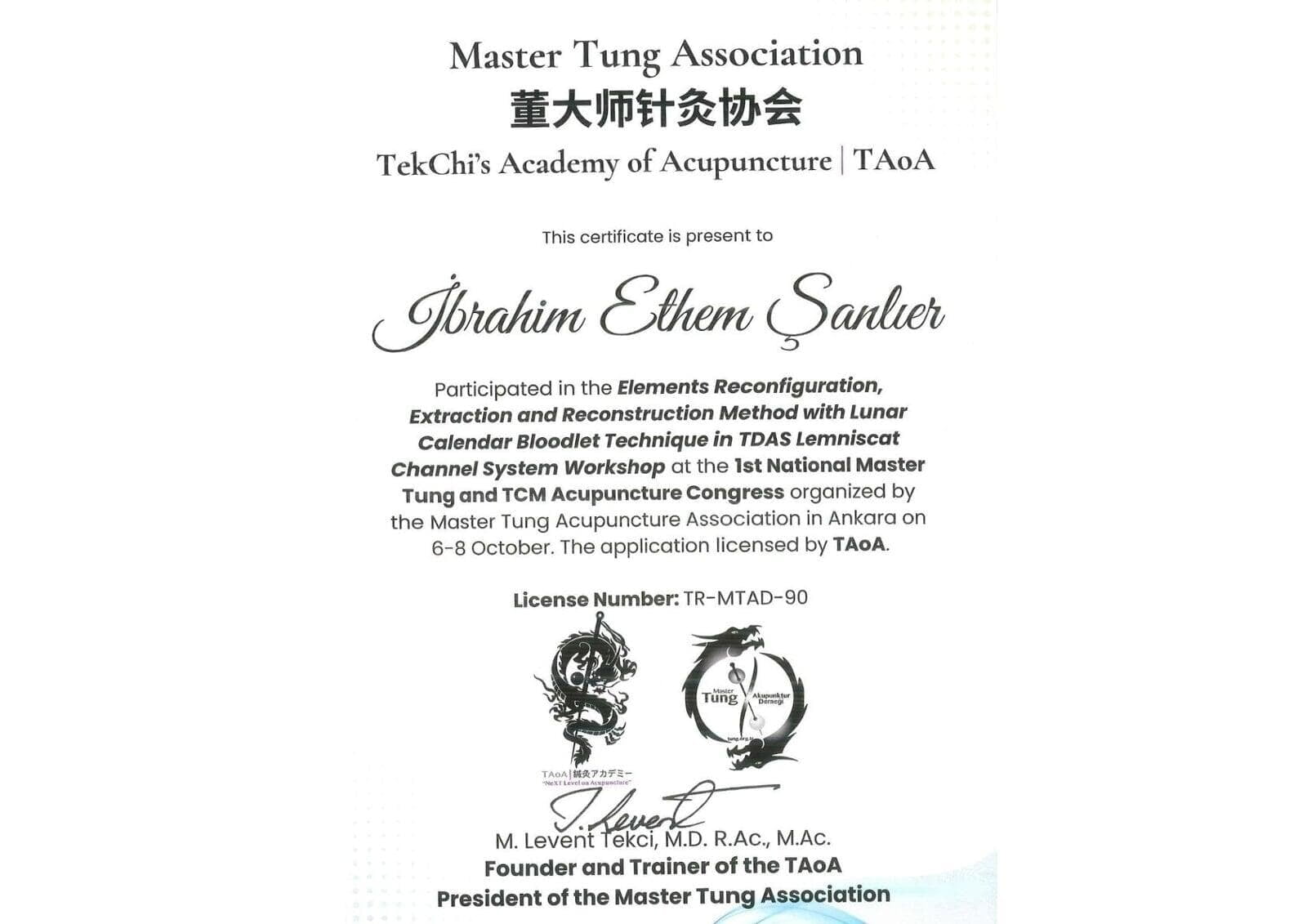 Master Tung Association TekChi's Academy of Acupuncture TAoA Work Shop Katılım Belgesi