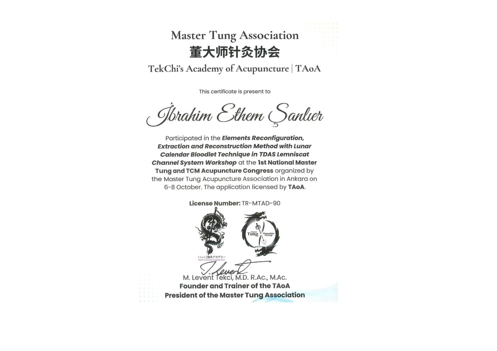 Master Tung Association TekChi's Academy of Acupuncture TAoA Work Shop Katılım Belgesi